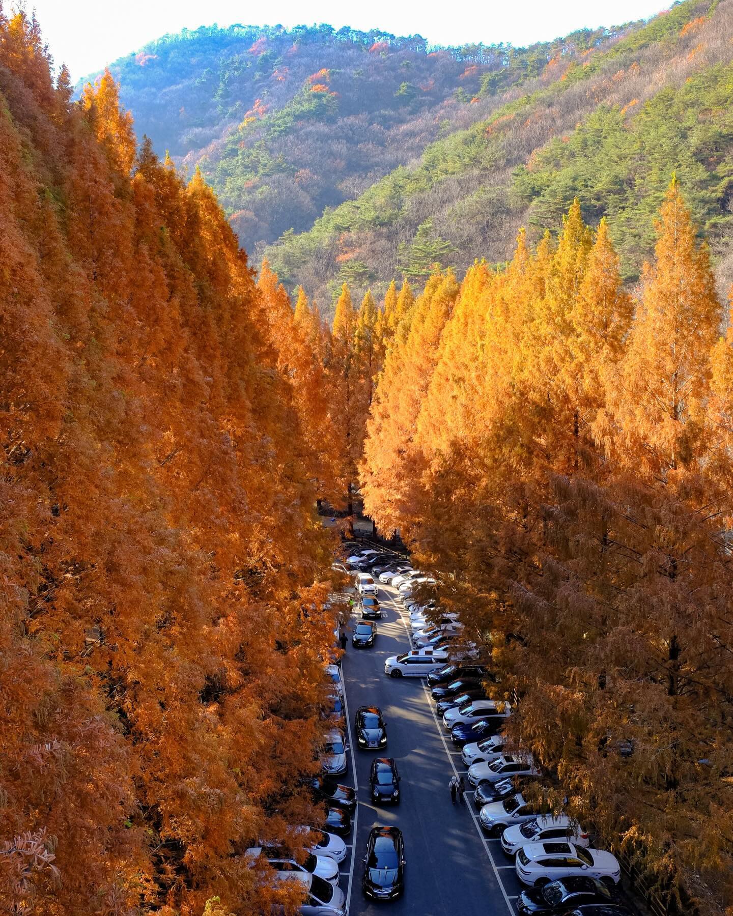 가을 끝자락, 눈에 단풍 담기🍁