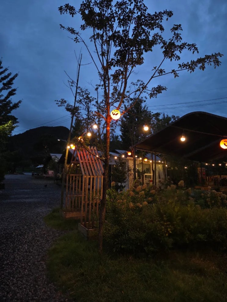 [공주 글램핑] 파크 오브 드림 글램핑🏕🏕
