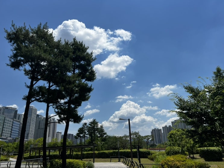 미사 샌드위치 로드샌드위치