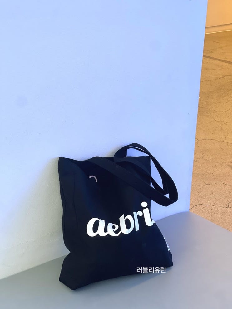 에이브릭 에코백 데일리로 좋아