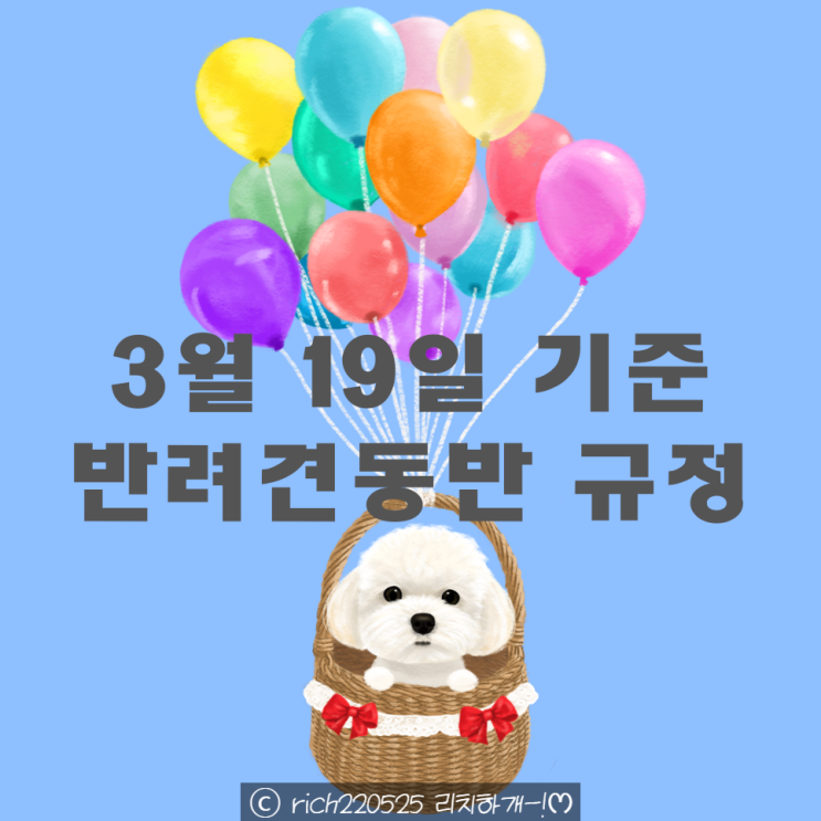 반려견동반 식당 애견동반 카페 규정 변경 (2026년 3월 19일 이후) | 말티즈 리치 견생정보통 같이가개