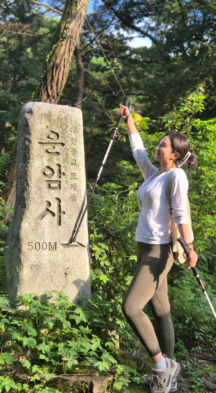 [보스센스] 등산스틱으로 가볍게 등산준비 끝!
