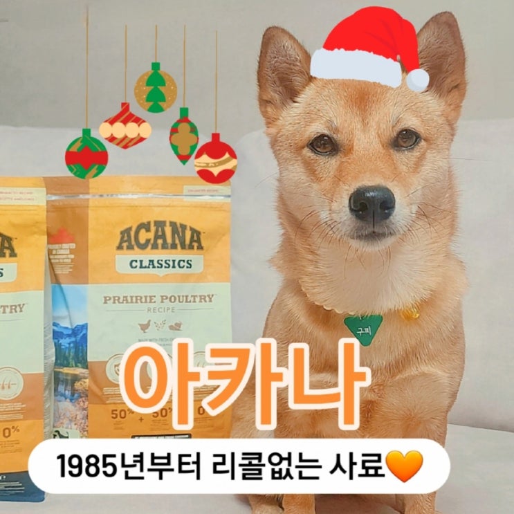 리콜없는 강아지 사료 : 기호성 좋은강아지사료추천! [아카나 프레이리 폴트리]
