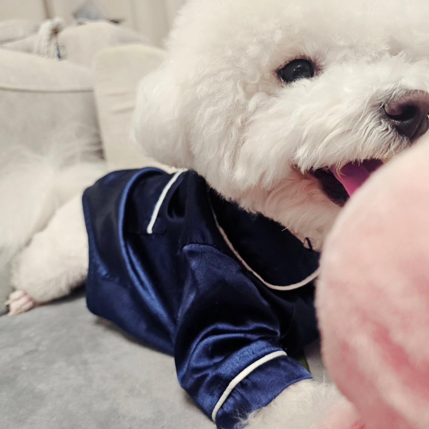 N년째 문어사랑🐙❤️

친구들은 최애 장난감이 모야?😲
나눈 삑삑이랑 문어가 제일 조하🫶🏻

우리 올해도 재밌는 장난감 가지고
신나게 놀아보쟈🔥🔥🔥

내일 날씨가 옴총 춥데🥶
모두 옷 따숩게입고 감기조심해💙

1월이 되자마자 너무 바빠져서
또다시 춘봉이 소식이 뜸해지는 중🥲
다음달까진 바쁠거 같지만,,
틈틈히 친구들 보러 놀러올게❤️❤️

모두 새해 복 많이 받고
올해도 햅삐햅삐 건강하잣💪🧧🎉✨️
.
.
.
.
#새벽3시에 #문어가져오기 #있기없기