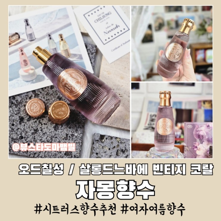 자몽향수 오드칠성 여자 여름 시트러스 향수 추천