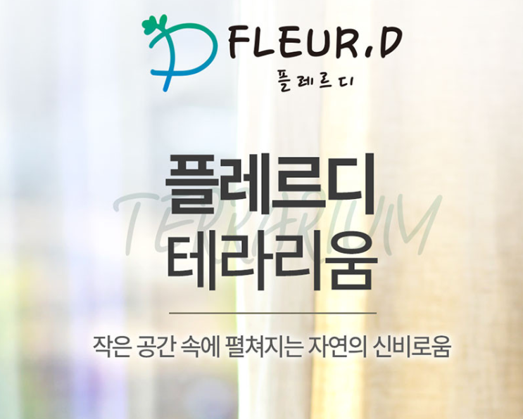 우리 집 테라리움식물 소개 플레르디 테라리움 키트 만들기
