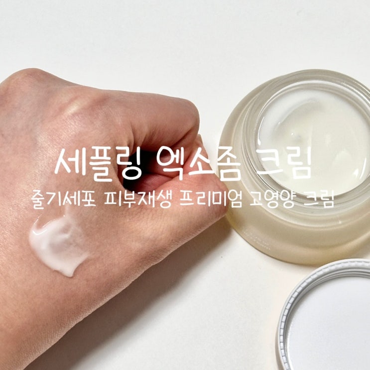 재생크림추천 줄기세포 광채 고영양 세플링 엑소좀 크림