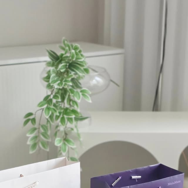 Lee sooyeon on Instagram: "#광고
환절기라 부쩍 면역력 떨어지는 부모님들께
이런 선물 어때요? 

✔️100%국내산 수삼을 9번 찌고 9번 말린 정성!
✔️특허받은 흑삼농축액으로 진세노사이드 흡수율을 높인
✔️CJ 구증구포 흑삼농축액과 
✔️국내제주 침향 분말 15%함유
✔️쓴맛은 줄이고 풍미는 올라가
✔️입문자들에게도 추천할만한 CJ 한뿌리 흑삼단 침향환!

전통과 건강의 가치를 모두 담은 대한민국  TOP3인홍삼 브랜드인
한뿌리 브랜드의 선물세트라
선물 좀 해본 언니들이 추천하는 센스템 이라죠

여기에 편안하고 확실한 휴식을 위한 식물성 멜라토닌, 
CJ닥터뉴트리 멜라메이트 와 함께면 
정말 든든!
서아시아의 햇살을 머금고 자란 1kg 의 피스타치오에서
단 1%멜라토닌만을 추출~ 매일 하루 한 정 으로
섭취도 간편하고 수월하니까
이젠 내 편한 밤을 위한 루틴으로 정착 중!💜

이렇게 좋은건 명절선물로 지인들과 함께 해보세요~

#침향환 #침향환효능 #침향환효과 #흑삼단침향환 #명절선물 #명절선물세트 #부모님선물 #추석선물세트 #식물성멜라토닌 #멜라토닌추천 #멜라메이트 #흑삼단 #CJ웰케어 #선물세트 #선물"