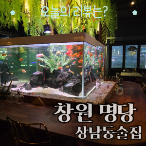창원 명당 상남동술집 창원핫플 상남동핫플