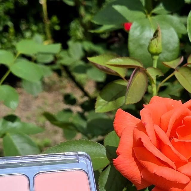 박연진 on Instagram: "#광고#올영픽#올리브영추천템#올영필수템#러브버블컬렉션

✨ #올리브영 8월 #올영픽 리뷰 ✨투에이엔 제품입니다 

#투에이엔 제품들을 직접 사용해봤어요!
파운데이션, 하이라이터, 아이팔레트, 치크까지 써본 솔직 후기 남깁니다.

✔ 롱 웨어링 파운데이션 미니 (19 페일베이지 / 20 복숭아)
얇게 발리는데 은은하게 톤업 효과가 있어서 칙칙해 보이지 않아요.
혈관 때문에 피부가 어두워 보이는데, 화사한 복숭아빛으로 밀착 커버되어 자연스럽고 깨끗해 보여요 🍑

✔ 퓨어 글래시 하이라이터 (ND01 쉘 / IV01 슈가 베일)
빛에 따라 맑고 투명한 광이 돌아요.
ND01 쉘은 은은한 베이지 톤으로 데일리용, IV01 슈가 베일은 달콤한 핑크빛 광택으로 화사한 무드 낼 때 딱!

✔ 베러미 아이팔레트 (11 드리밍 / 16 버블 캔디)
드리밍은 차분한 로즈빛으로 분위기 메이크업에 좋아요.
버블 캔디는 화사한 핑크·코랄 계열이라 러블리한 눈화장 완성 가능!

✔ 듀얼치크 (02 러브로지 / 17 버블하트)
입자가 고와서 모공·요철을 자연스럽게 커버해주고 피부결이 매끈해 보여요.
러브로지는 은은한 로즈 컬러, 버블하트는 상큼한 핑크빛이라 기분 따라 골라 쓰기 좋아요.

👉 전체적으로 발림성·색감·밀착력이 다 만족스러웠던 #올영필수템 🥰

#광고 #올영픽 #올리브영추천템 #올영필수템
#투에이엔 #러브버블컬렉션 #롱웨어링파운데이션미니
#퓨어글래시하이라이터 #베러미아이팔레트 #듀얼치크
#컬러플레이듀얼라이너 #메이크업리뷰 #화장품추천"