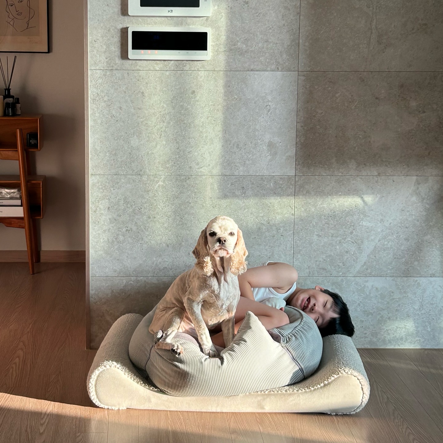 꿀모닝

feat.집뺏긴 장수찡
