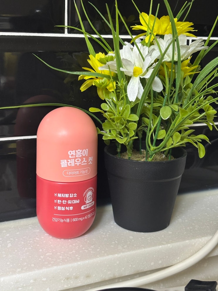 GRN 연홍이 콜레우스컷 다이어트 효과있을까
