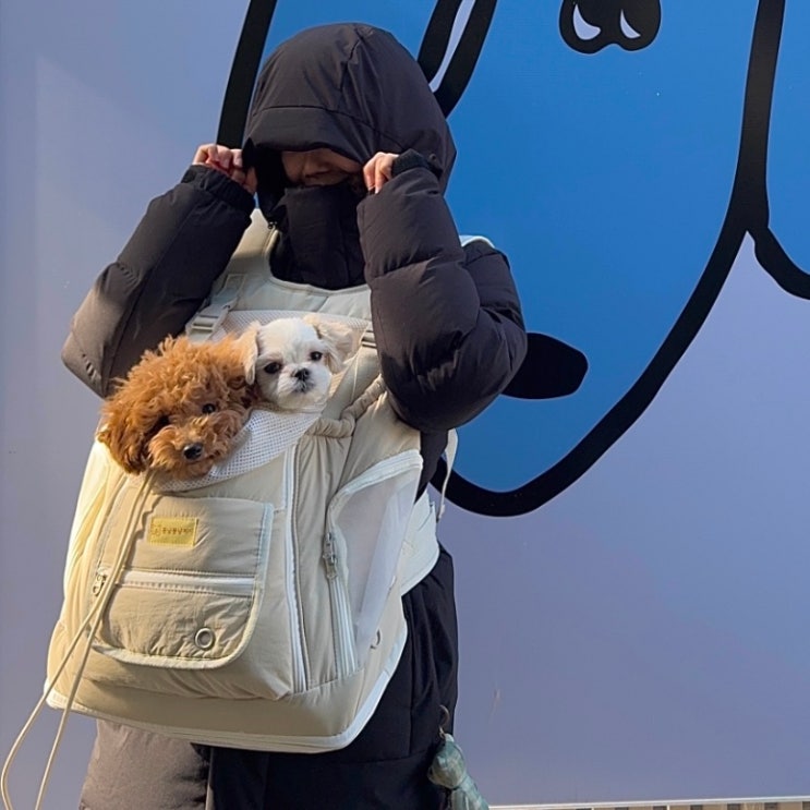 <꽁냥꽁냥제이> 강아지 앞가방 | 강아지 백팩 추천