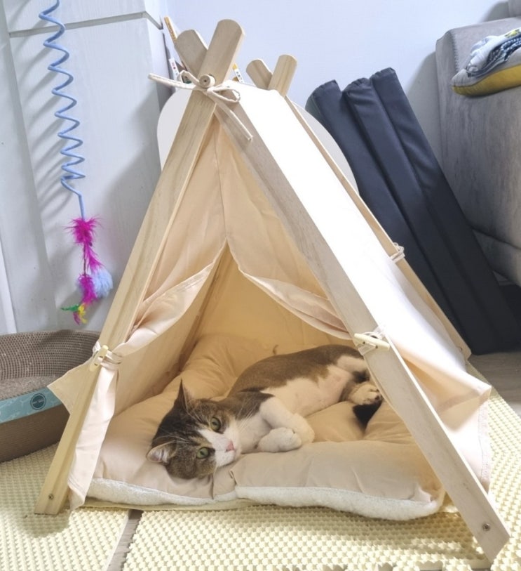 고양이 집 추천 꽁냥꽁냥제이 고양이 숨숨집 후기