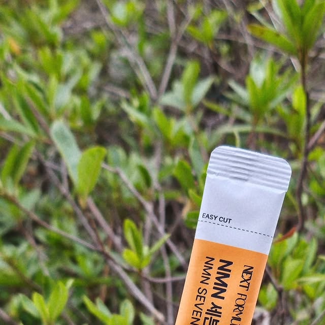 또은 🐰 on Instagram: "#광고
요즘 열심히 챙기고 있는 NMN 세븐플러스 3000 스위티🍊 

고함량 NMN과 항산화 성분을 담은, 건강한 에이징케어를 위한 프리미엄 이너뷰티 제품인데요, 

NMN을 먹어야 하는 이유는!
NMN은 우리 몸의 에너지 대사를 활성화하고, 
심혈관 건강과 인지 기능, 면역력 강화 등 전반적인 건강 개선에 기여해요
특히, 노화 지연과 피로 회복 효과로 일상에 활력을 더해줄 수 있어요! 

케이뷰티월드와이드 NMN 세븐플러스 3000 스위티는 상큼달콤한 맛을 자랑하면서도
당류 함량이 단 1%로, 건강을 생각하는 분들께 딱 맞는 제품이에요🤩 

이 제품은 NMN과 함께 7가지 프리미엄 부원료를 포함하고 있어,
항노화와 활력 증진에 큰 도움이 되는데요! 

그래서 세븐플러스 3000 스위티는 바쁜 현대인에게 딱 맞는 제품이고요,
간편하게 휴대할 수 있는 위생적인 포장으로
언제 어디서나 쉽게 섭취할 수 있어요! 

맛과 효능 모두를 만족시켜주는 
NMN 섭취로 젊고 활기찬 삶을 시작해보세요!🤍

#NMN#미국산식물성NMN#효모배양분말#슬로우에이징#저속노화#달콤한오렌지맛#넥스트포뮬러#세븐플러스#NEXTFORMULA#맛있는#스위티#7가지부원료#부스팅원료#프테로스틸벤#프리미엄원료#간편한섭취#스틱타입#스틱포#위생적인#상큼한#노화#엔엠엔
#총함량3,000mg
#당류1%"