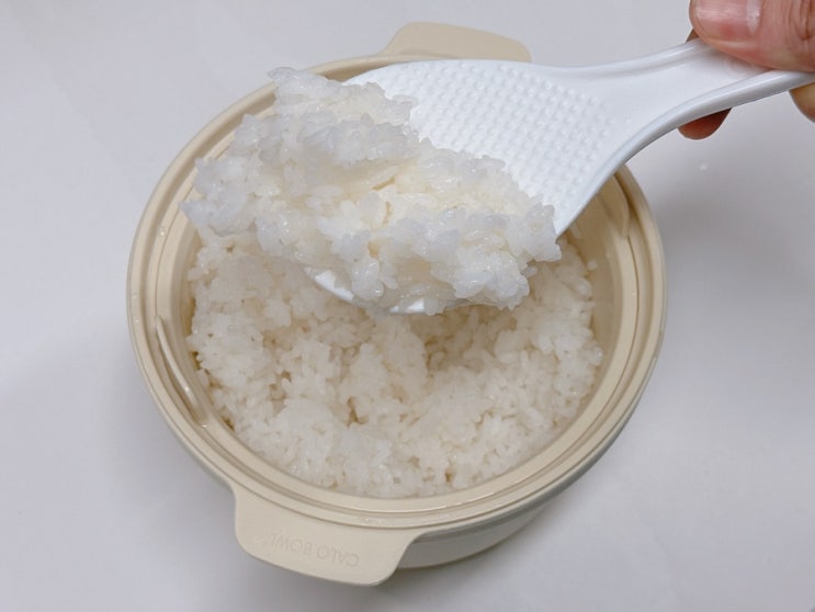 밥솥추천 전자레인지용 칼로볼 저당밥솥