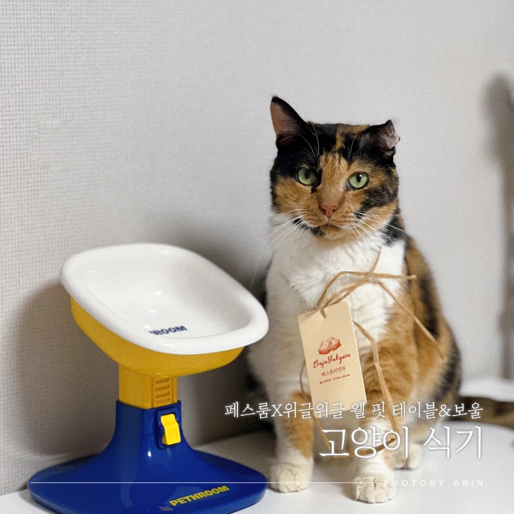 페스룸 식기, 높이 조절 가능한 슬로우피더 고양이 밥그릇