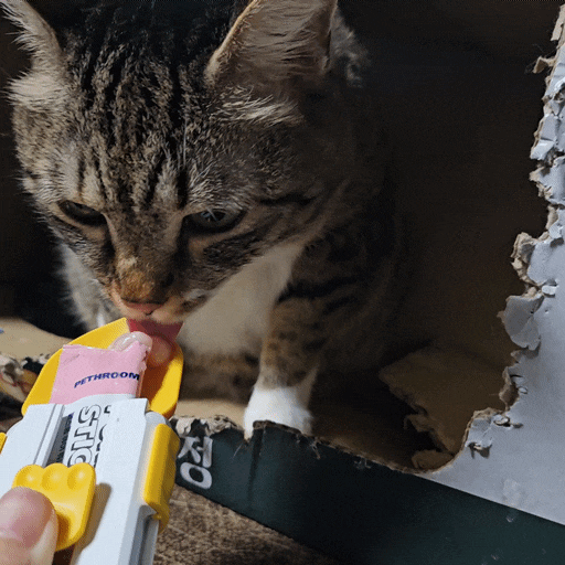 [페스룸×동원] 퓨어 튜나 스틱 버라이어티팩 고양이 츄르 추천