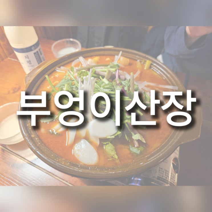 [야탑 맛집] 막걸리와 안주가 맛있는 부엉이산장