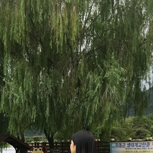 유경 on Instagram: "#협찬 가을 여자가 되 🍁

흐린 날 너무 너무 잘 입고 다닌 
아이러니포르노의 스웨이드 자켓 

오버사이즈로 귀엽게 연출할 수도 있고 핏한 사이즈로 포멀룩도 연출할 수 있다는게 킥 .. 🤌🏽

👇🏻 가을, 겨울 자켓 찾고 있으면 여기예요 👇🏻
@1rony9orno_official"