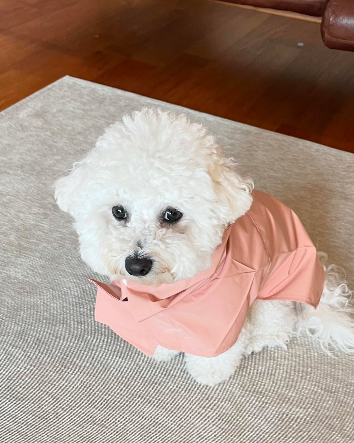 우비☔️🌂