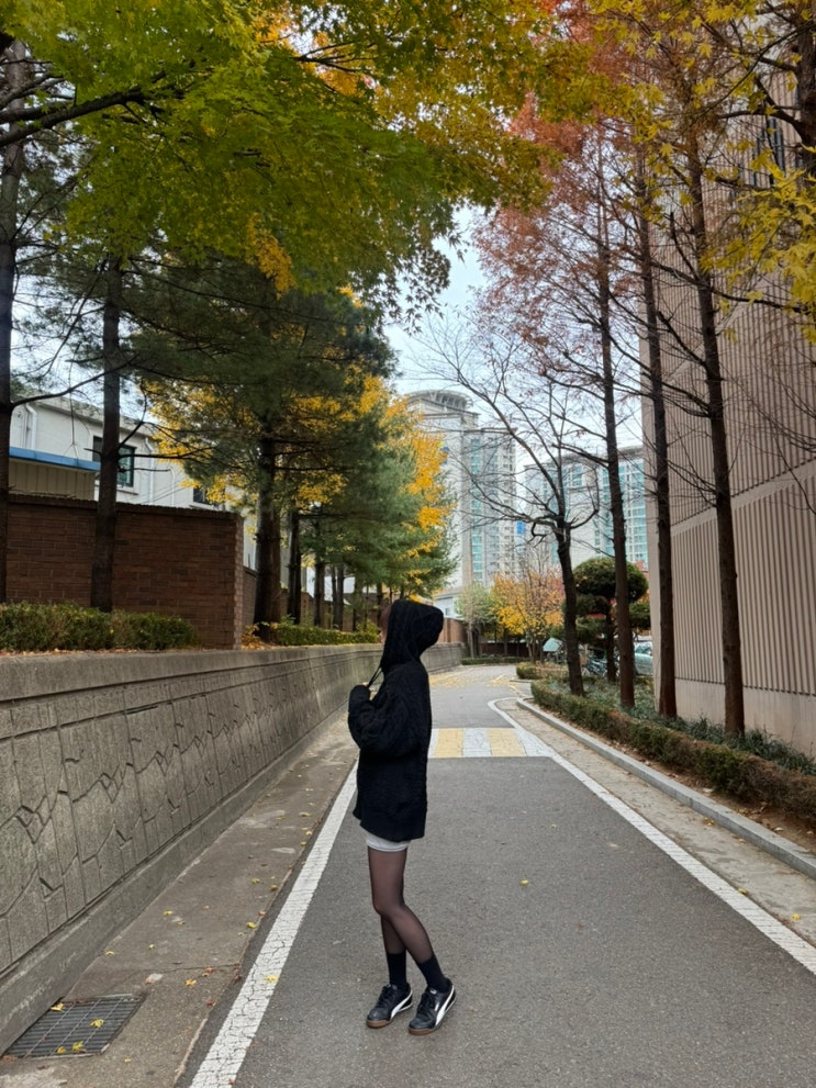 [ 데일리·출근룩 추천 | 스탠다드에러 87-STAN193 케이블 투웨이 후드 집업 니트]