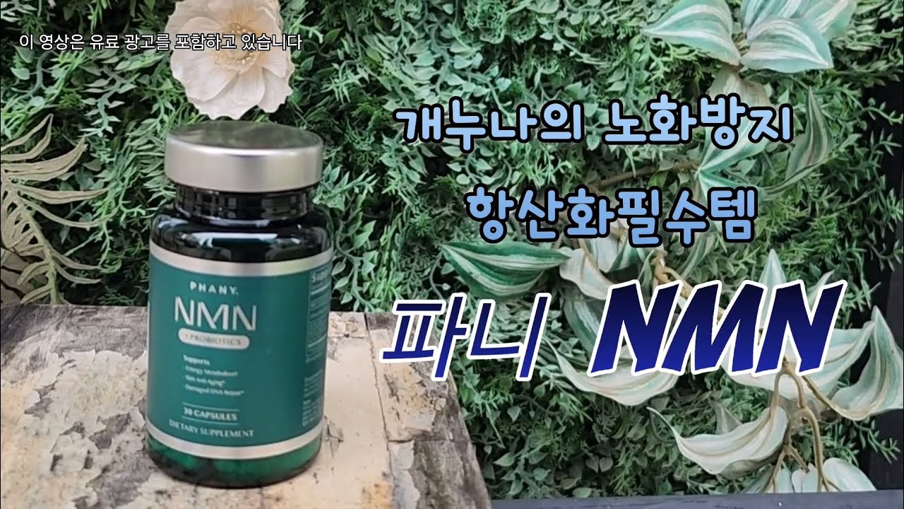 노화방지활력충천 항산화영양제 [파니 NMN] 로 관리시작