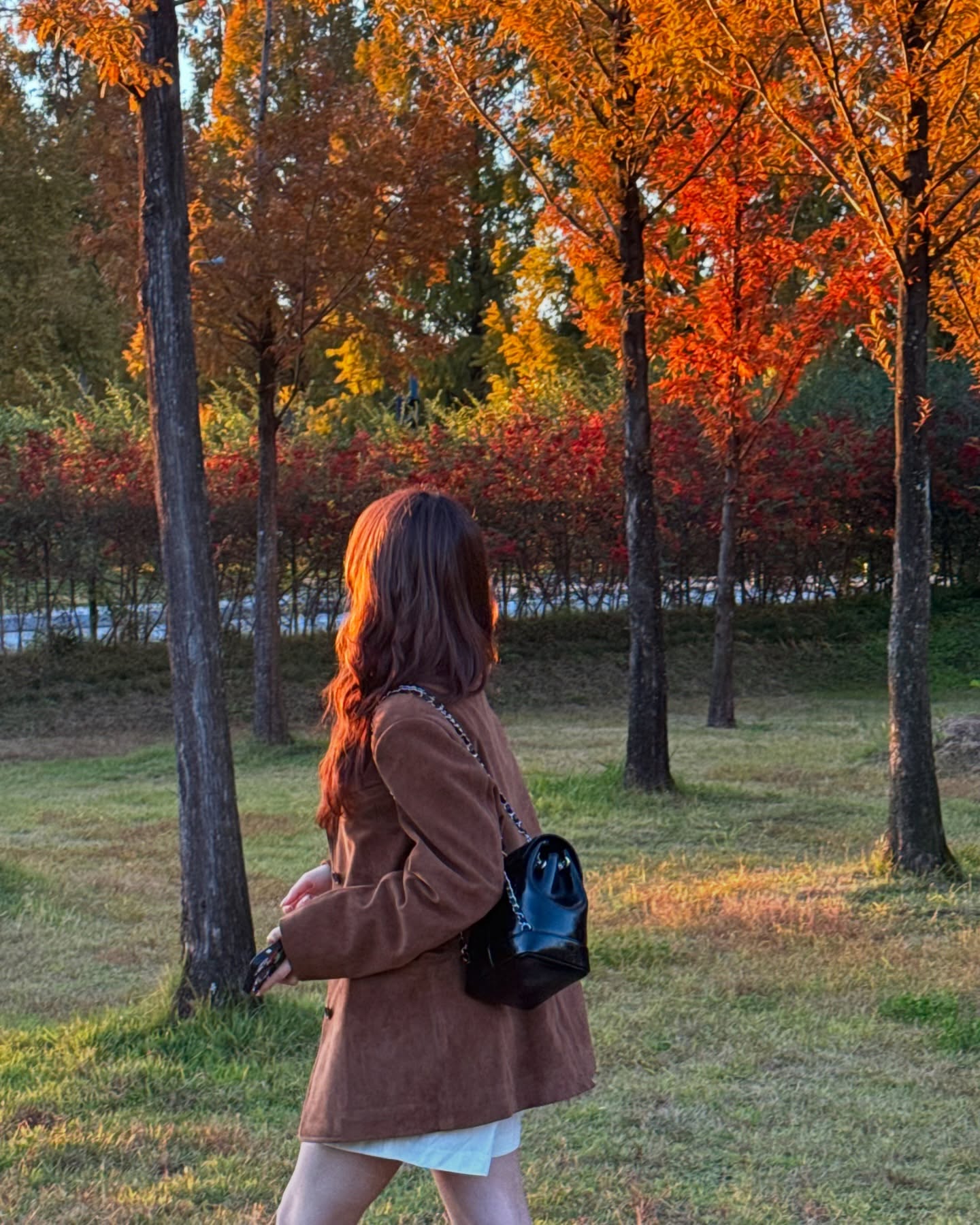 초가을에 찍고 보내주는 가을에 올리는🍂
24년 11월도 적당히 잘 보냈다
고마워 애듀라💗
