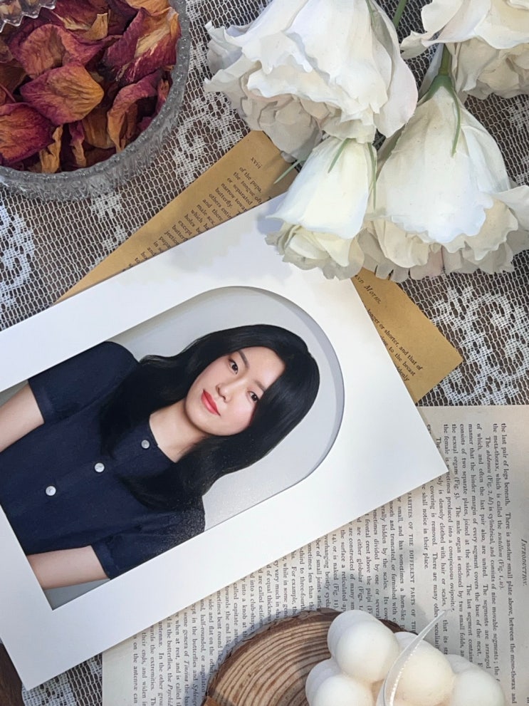 [서울/종로] 컬러증명사진 찍기 좋은 종로사진관, 흐드러지다