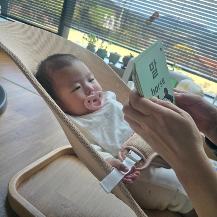 영유아 인지발달을 위한 아기 노리낱말카드 210 추천