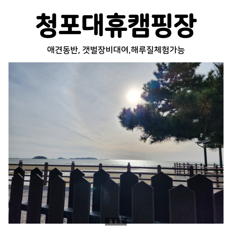 청포대 태안선착순캠핑장, 태안 야간 해루질 체험, 청포대휴 캠핑장 (갯벌장비대여, 애견동반가능)