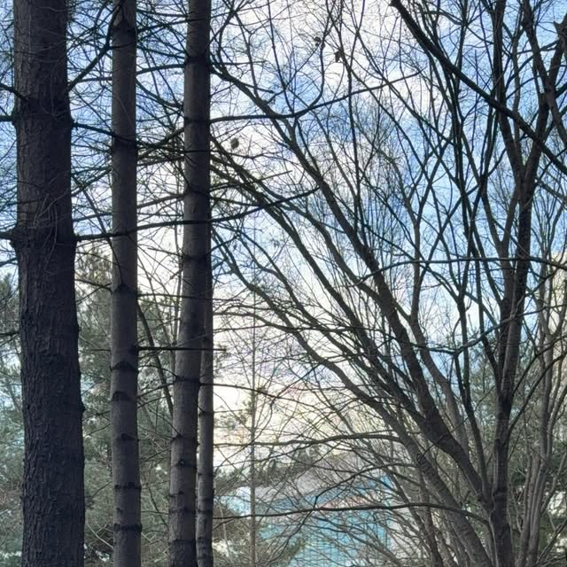 세니 on Instagram: "#협찬

오사와 [OW-178 베디 크롭 하이넥 패딩_화이트]

화이트 패딩에 팔 라인 포인트가 있어서 넘나 귀엽구
크롭한 기장으로 다리길이 2메다 가능!!"