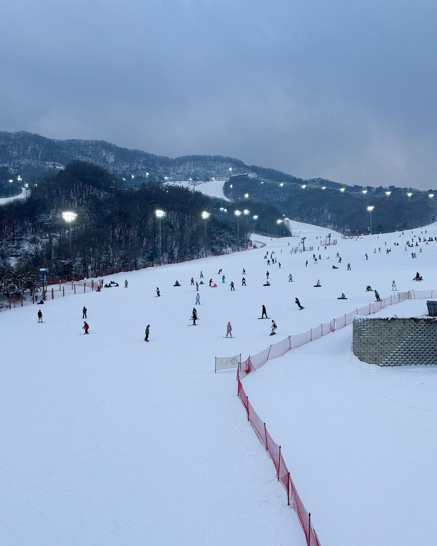 스키 스키다요⛷️⛷️
