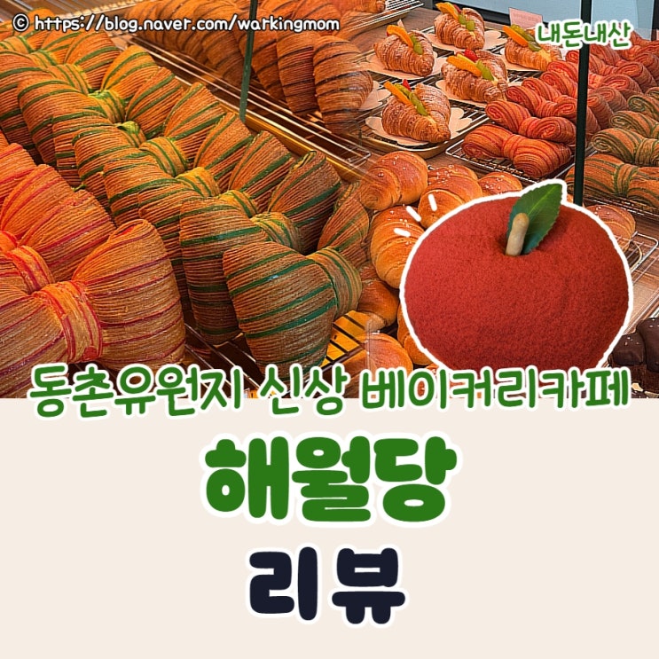 대구 동촌유원지 신상 베이커리 대형 카페 해월당 주차정보 할인