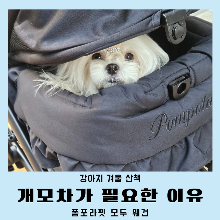 강아지 겨울 산책 개모차 필요한 이유 - 폼포라펫 모두 웨건 후기