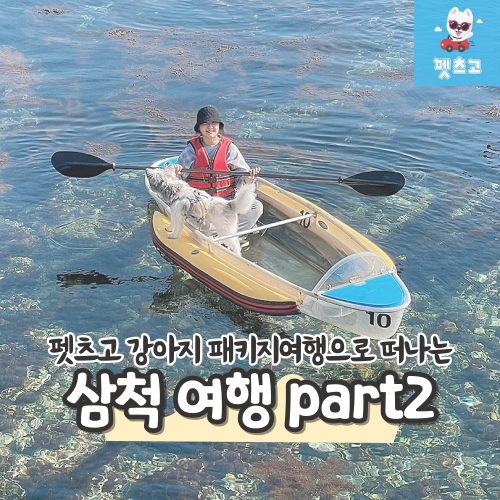 [펫츠고] 강아지와 삼척 패키지여행 2편 (삼척레일바이크, 장호항 투명카약)