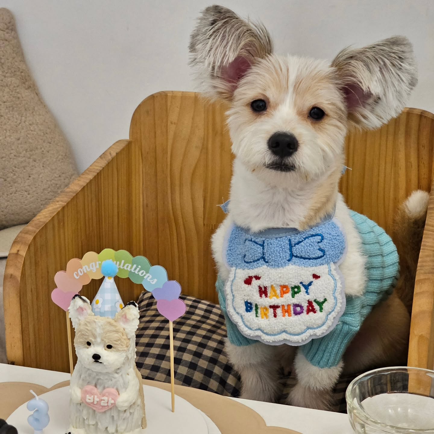 #바라생일파티
토요일이  생일(추정)이지만 연차없는 엄마때문에 
미리생파하기!
#댕앗간 daengatgan_ 
케이크 넘나 완벽♡
벌써 3살이라니 ! 내새끼 항상건강하고 철딱서니없길♡