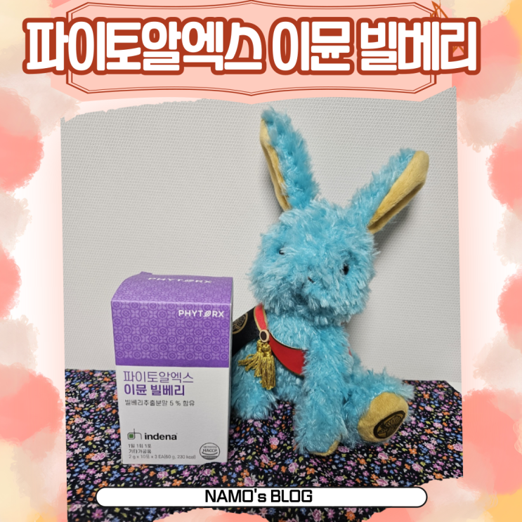 파이토알엑스 이뮨 빌베리 // 먹기 편한 빌베리분말 눈 영양제