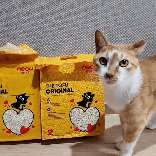 두부모래 추천! 응고력 좋은 모래 미우타임즈 더 두부 크랙 오리지널 고양이모래