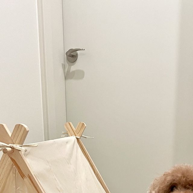 다다✨ on Instagram: "#gift 
새로 생긴 집이 맘에 들었는지
밤낮으로 텐트 속으로 쏙🐶

#광고#꽁냥꽁냥제이#고양이숨숨집#강아지하우스#고양이텐트#강아지텐트#고양이하우스#강아지침대#고양이침대#인테리어"
