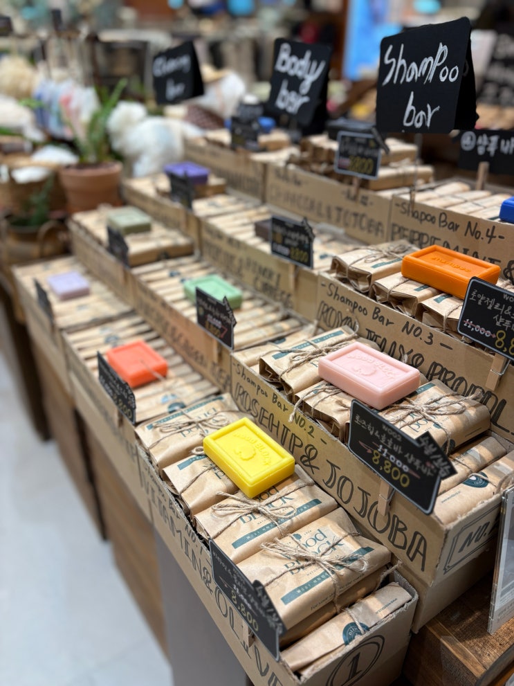 [위생] Zero Waste 우드블럭 마니아 현대백화점 충청점 팝업 스토어 다녀온 후기