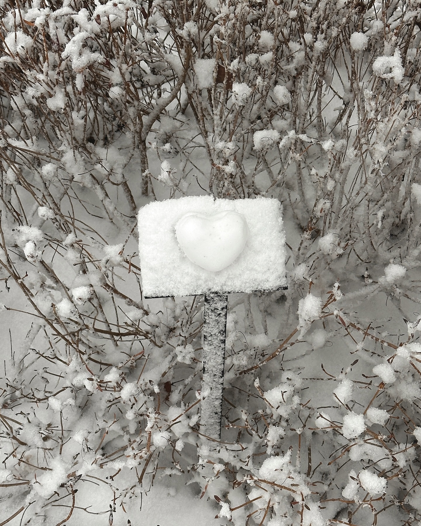 삿포로 대신 고산별빛로 ❄️💫
경상도 태생이라 어릴 적 눈 구경 많이
못했는데 원 없이 하고 있는 요즘 나의 일상
#우리동네#눈풍년#오늘아님