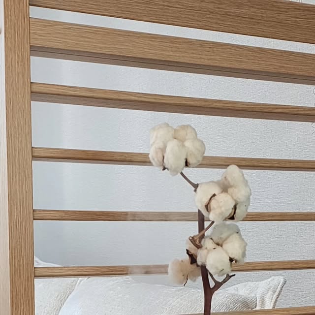유림정성-경이 on Instagram: "#광고

단순한 가습 기능을 넘어
생활 속에서 디자인과 실용성을 동시에 잡아주는 가습기.

곱게 퍼지는 미세한 수분 입자가 공간을 촉촉하게 유지해주고, 은은한 무드까지 더해줘요.

직접 사용해보니 건조함이 확실히 줄어들고
시각적으로도 세련된 포인트가 되어 만족도가 높아요

미스트입자 크기가 5pm라 흡수가 용이하고
저소음25dB으로 어느공간에나 편안하게 
사용가능해요.

360도 가능, 연속분사 or 간격분사 선택 가능
7가지 그라데이션 조명과 단색조명은 물론.
오로라 기능으로 분위기도 업!!

하루 종일 켜 두어도 부담 없는 사용감 덕분에 
사계절 내내 활용하기 좋은 아이템이랍니다.

#광고#가습기#가습기추천#초음파가습기#감성인테리어#SMIRIA가습기
#디자인가전 #홈인테리어소품 #생활가전리뷰 #무드가습기 #겨울필수템 #홈스타일링 #일상템"