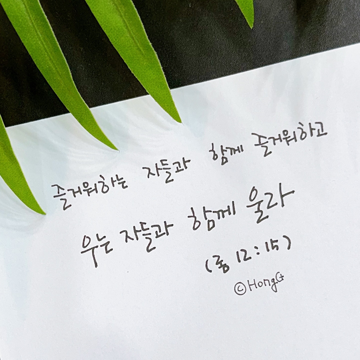 제주항공 여객기 참사로 희생되신 분들을 추모합니다. 
참사로 사랑하는 사람을 잃은 분들께 마음 깊이 위로를 전합니다.

우는 자들과 함께 울라...
마음이 너무나 아픈 날이네요. 
가늠할 수 없는 슬픔에 잠겨있는 분들께 어떤 말로도 위로가 되지 않을 것 같아 더욱 아픕니다. 
함께 울고 기도하겠습니다.