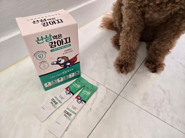 노령견영양제 산삼먹은강아지