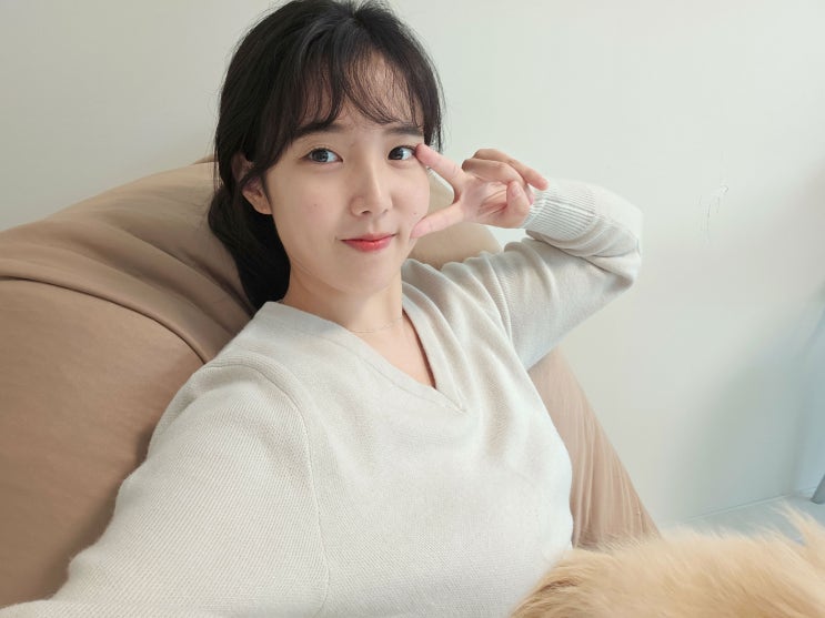 캐시미어 V넥 니트 코디 세미크롭 니주르 가을겨울하객룩