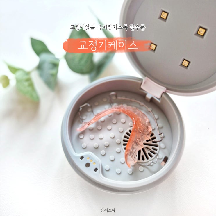 교정기케이스 유지장치 소독 필수품