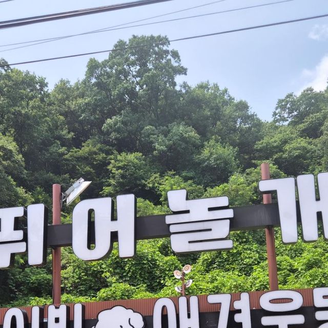 @zerostar_a on Instagram: "#협찬 #광고
뛰어놀개 프라이빗 애견 운동장🐕🐶🐩

완전 가까운 서울 근거리에 프라이빗한 애견운동장😆
시설도 좋고 관리도 깨끗하게 잘 되어있어서
반려동물 동반으로 오기 딱 좋음🫰
간이하우스 안에서 간단한 음식도 포장해서 먹을 수 있고
에어컨까지 설치되어있어서 시원하게 즐길 수 있었음👍🏻
바로 옆에 저렴한 무인반려동물 할인용품점이 있어서
최고최고🩷냠냠쩝쩝 엄청 잘 먹음🦴🐾
무엇보다 오랜만에 웃는모습보니 미안하고 귀엽고🙄
다음에 기회가 된다면 또 방문하고싶은 프라이빗운동장⭐️

#광고#애견운동장#반려견운동장#애견놀이터#반려견놀이터#양평애견운동장#양평애견놀이터#서울근교애견놀이터#뛰어놀개#강아지운동자#애견카페#실외애견놀이터#실외애견운동장#애견동반#서울근교애견동반#천연잔디애견운동장#천연잔디반려견운동장"