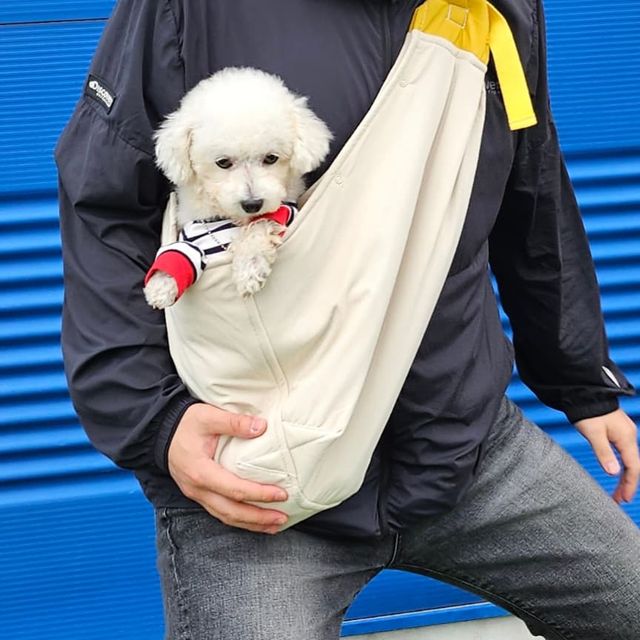 타니 on Instagram: "#광고#협찬#꽁냥꽁냥제이#강아지포대기#강아지슬링백#고양이이동장#강아지산책가방#강아지가방#고양이가방
목탄이가 꽁냥꽁냥제이에서 포대기 선물을 받았습니다😀
애견카페갈때 사용하려고 챙겨온 포데기인데 너무 가벼워서 정말 편했어요!

1.가벼운소재
2.통기성원단
3.편안함
4.편의성
5.안전고리

안전하고 가볍고 언제든지 들고 다니기 쉬운 꽁낭꽁냥제이 강아지 포대기😍😍"