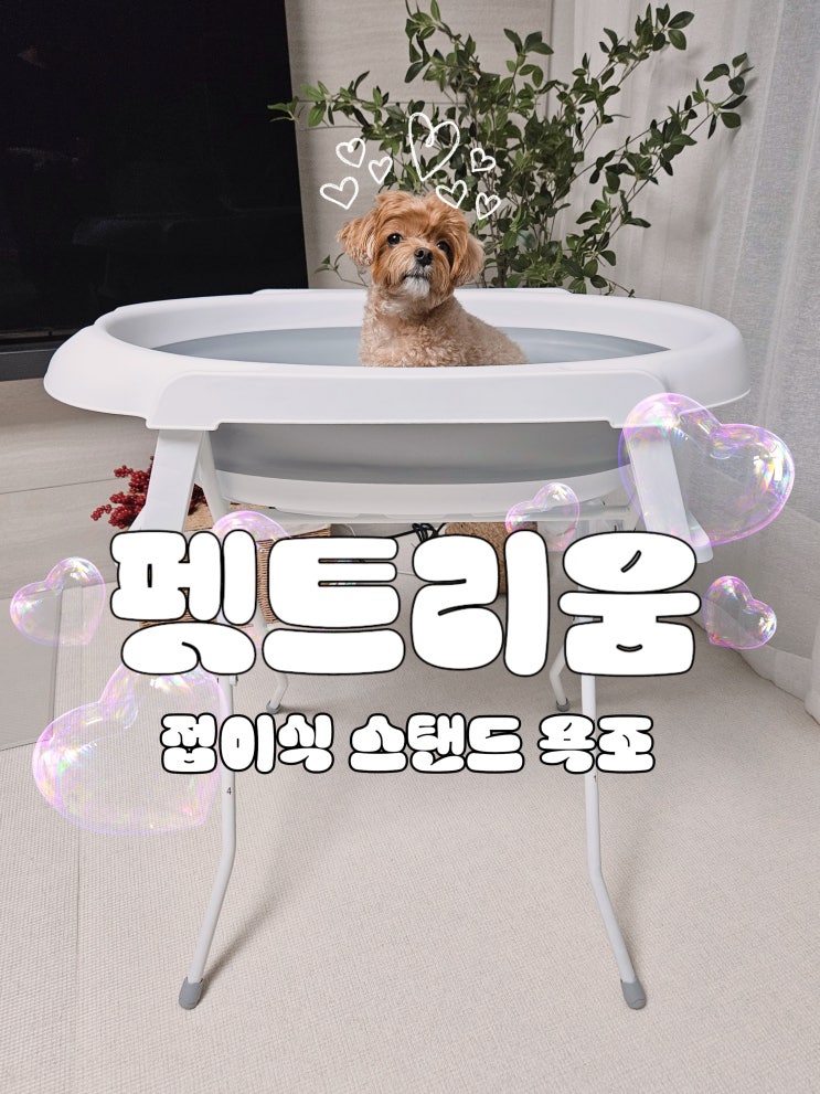 서서 편하게 씻기는 강아지 욕조 펫트리움 접이식 스탠드 욕조